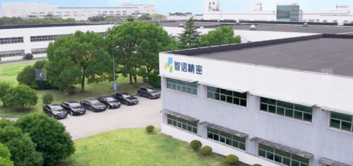 以蘋果為生的技術服務公司